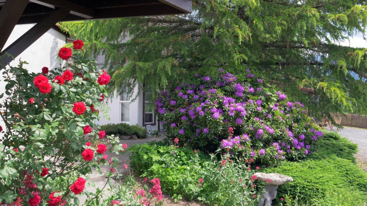 Paradise Village Ashford Εξωτερικό φωτογραφία